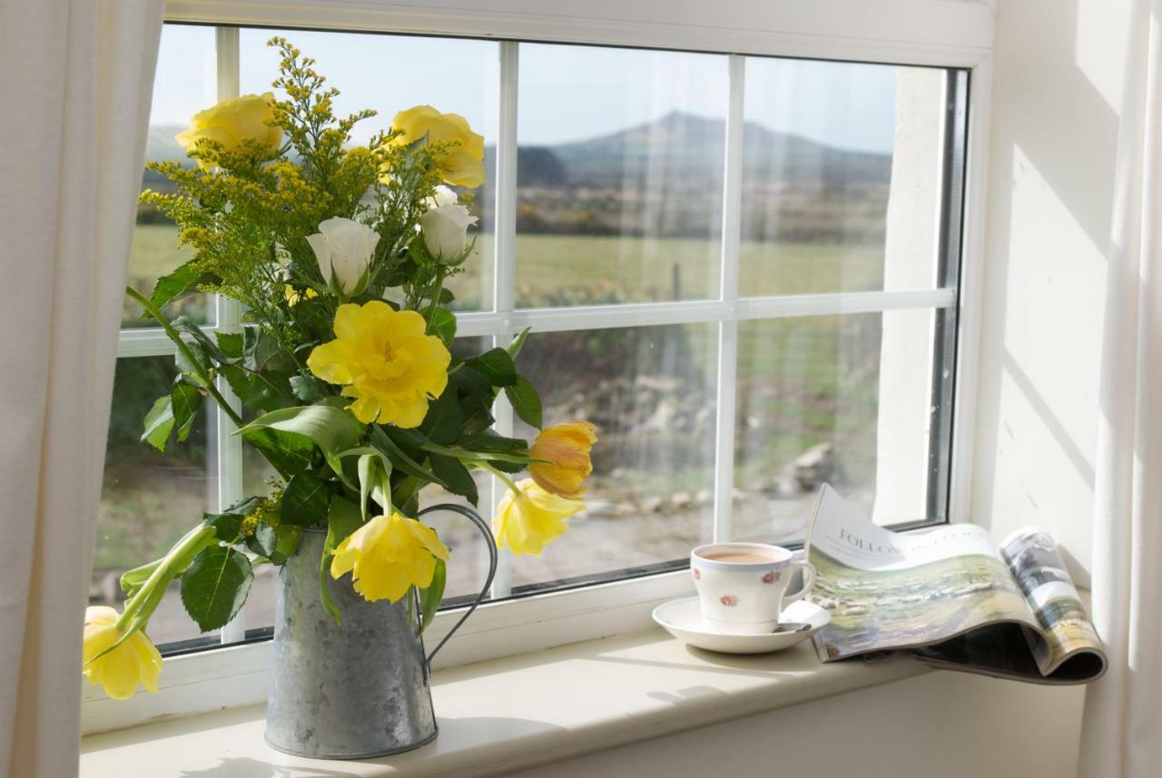 Bed and Breakfast Llety Farm Saint David's Exterior foto